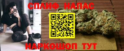 шишки Краснознаменск