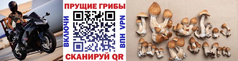 Псилоцибиновые грибы мухоморы  Сердобск 